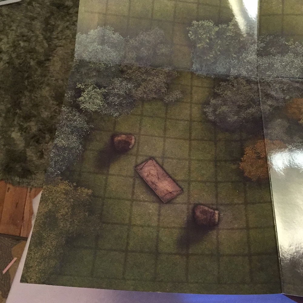 Pathfinder flip-mat classics - Picture 9 of 14